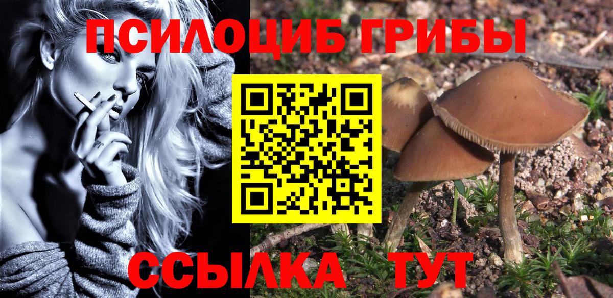 Амурск  Галлюциногенные грибы ЛСД  Вход с VPN 