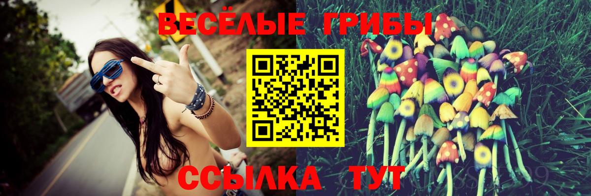 Галлюциногенные грибы Cubensis Амурск
